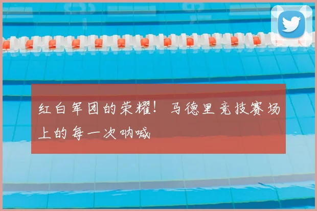 红白军团的荣耀！马德里竞技赛场上的每一次呐喊